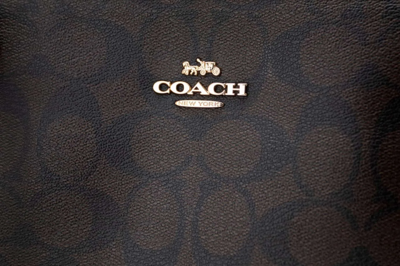 8 Best Women's Premium Wallets (Coach, Tory Burch)