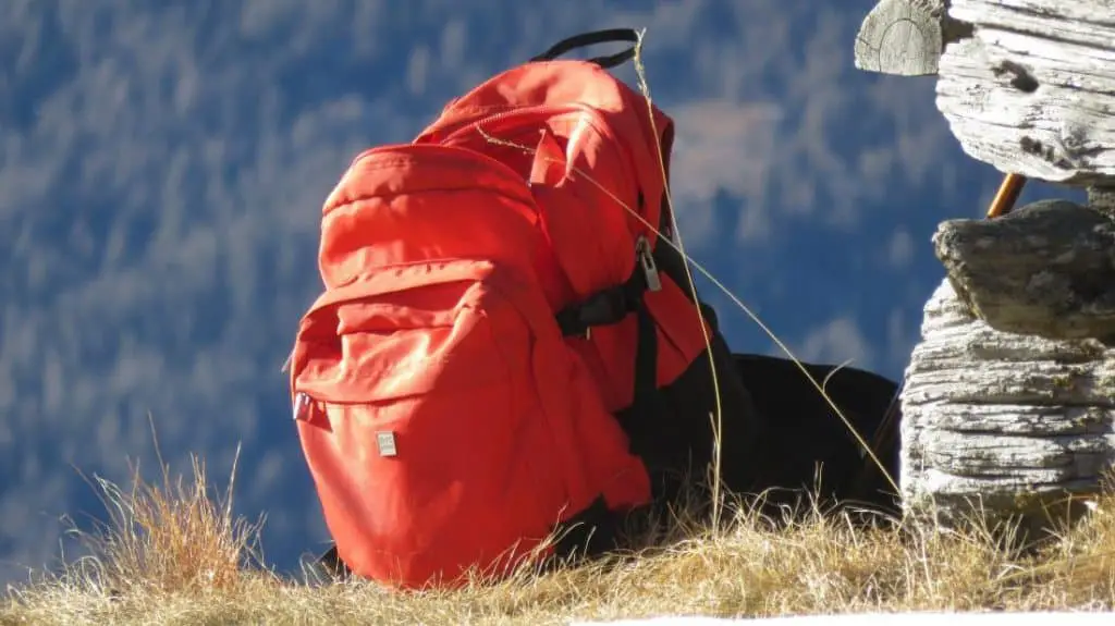 My Backpack Smells Like Mold…Now What? Our Simple 6 Step Guide To Clean A Dirty Backpack
