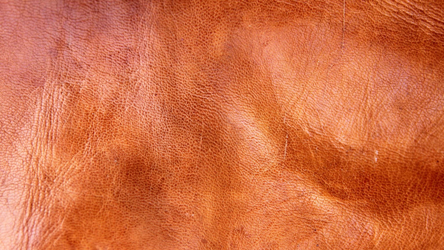 What Is Vegetable Tanned Leather? [The Ultimate Guide]
